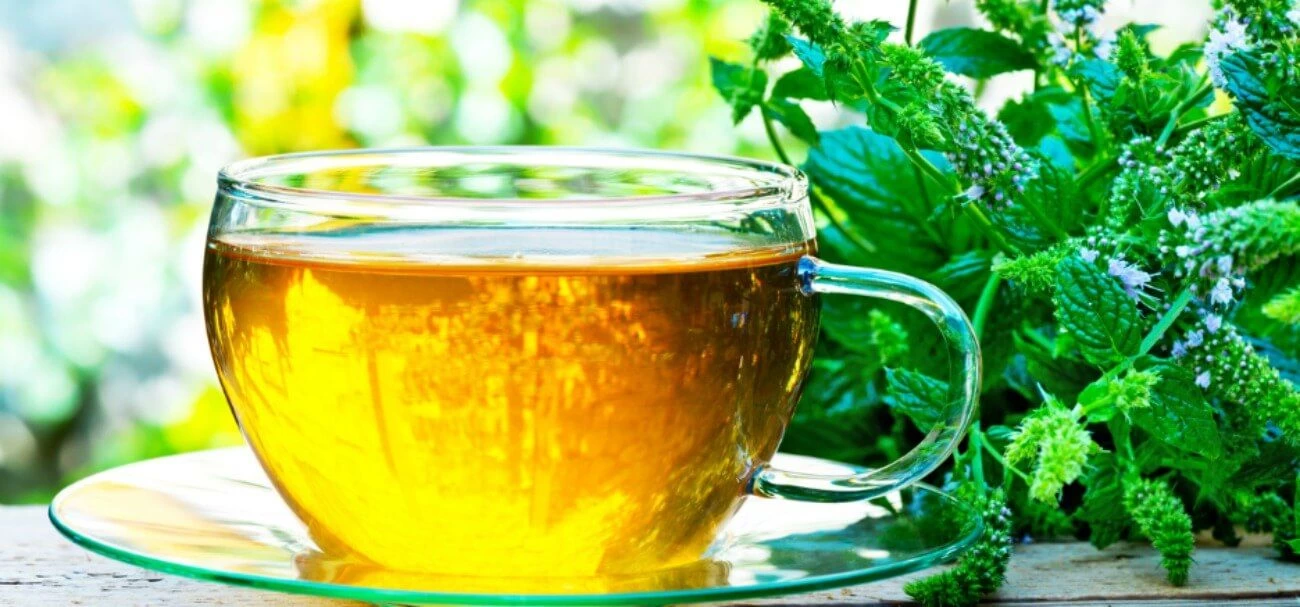 Ποια είναι τα αφεψήματα που μπορούν να βοηθήσουν τον ύπνο και την μνήμη